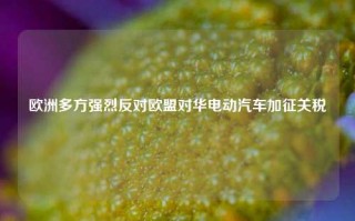 欧洲多方强烈反对欧盟对华电动汽车加征关税