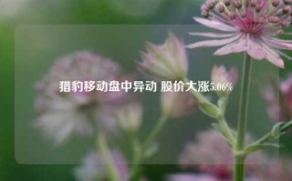 猎豹移动盘中异动 股价大涨5.06%