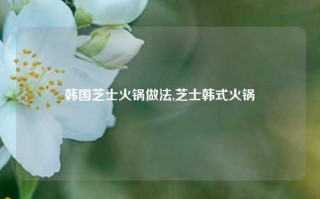 韩国芝士火锅做法,芝士韩式火锅