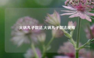 火锅丸孑做法,火锅丸子做法视频