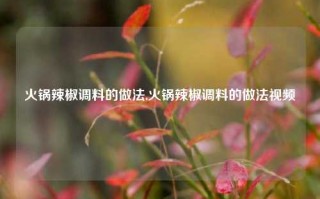 火锅辣椒调料的做法,火锅辣椒调料的做法视频