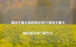 清汤牛腩火锅的做法窍门,清汤牛腩火锅的做法窍门是什么