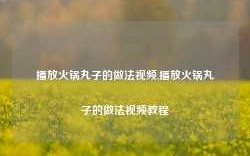 播放火锅丸子的做法视频,播放火锅丸子的做法视频教程