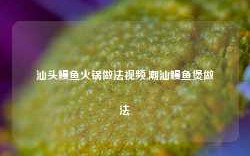 汕头鳗鱼火锅做法视频,潮汕鳗鱼煲做法