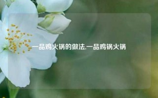 一品鸡火锅的做法,一品鸡锅火锅