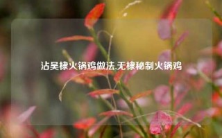 沾吴棣火锅鸡做法,无棣秘制火锅鸡