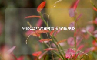 宁陵年糕火锅的做法,宁陵小吃