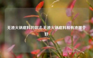 无渣火锅底料的做法,无渣火锅底料和有渣哪个好