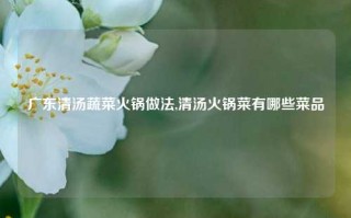 广东清汤蔬菜火锅做法,清汤火锅菜有哪些菜品