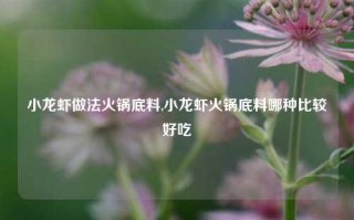 小龙虾做法火锅底料,小龙虾火锅底料哪种比较好吃