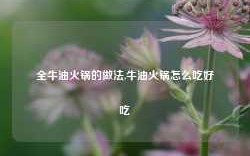 全牛油火锅的做法,牛油火锅怎么吃好吃