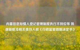 内幕信息知情人登记管理制度执行不到位等 凯盛新能及相关责任人收《行政监管措施决定书》