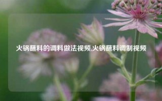 火锅蘸料的调料做法视频,火锅蘸料调制视频