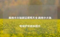 商用小火锅做法视频大全,商用小火锅电磁炉价格和图片