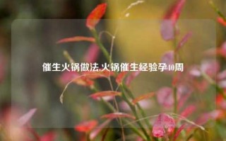 催生火锅做法,火锅催生经验孕40周