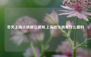 冬天上海火锅做法视频,上海吃火锅有什么蘸料