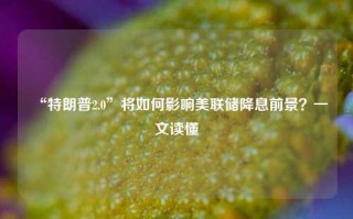 “特朗普2.0”将如何影响美联储降息前景？一文读懂