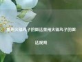 泉州火锅丸子的做法泉州火锅丸子的做法视频