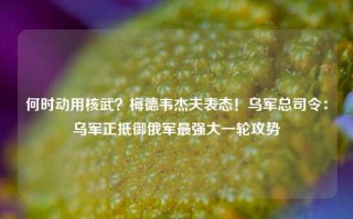 何时动用核武？梅德韦杰夫表态！乌军总司令：乌军正抵御俄军最强大一轮攻势