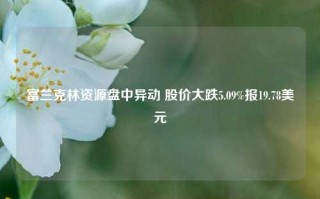 富兰克林资源盘中异动 股价大跌5.09%报19.78美元