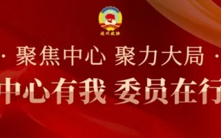 副中心有我 委员在行动①丨政协委员李玮：以双化协同为引擎 为副中心高质量发展谱写新篇章