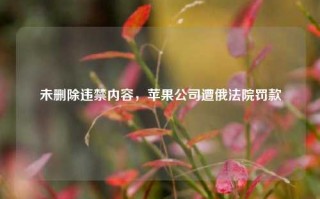 未删除违禁内容，苹果公司遭俄法院罚款