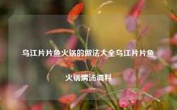 乌江片片鱼火锅的做法大全乌江片片鱼火锅清汤调料