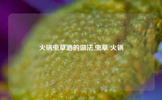 火锅虫草酒的做法,虫草 火锅