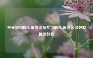 冬天里狗肉火锅做法英文,狗肉火锅怎么做好吃视频教程