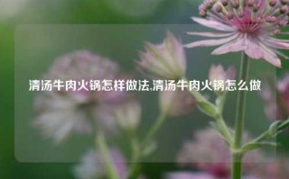 清汤牛肉火锅怎样做法,清汤牛肉火锅怎么做