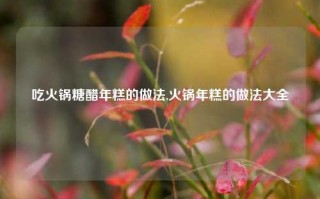 吃火锅糖醋年糕的做法,火锅年糕的做法大全