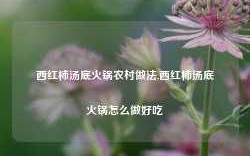 西红柿汤底火锅农村做法,西红柿汤底火锅怎么做好吃