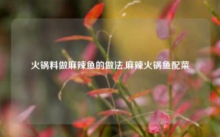 火锅料做麻辣鱼的做法,麻辣火锅鱼配菜