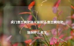 虎门臭豆腐肥肠火锅做法,臭豆腐烧肥肠叫什么名字