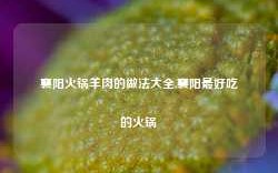 襄阳火锅羊肉的做法大全,襄阳最好吃的火锅