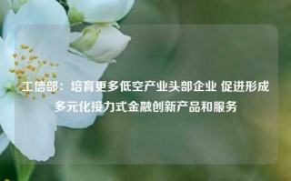 工信部：培育更多低空产业头部企业 促进形成多元化接力式金融创新产品和服务