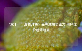 “双十一”现货开售：品牌成增长主力 用户比价趋势明显