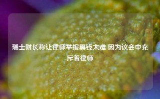 瑞士财长称让律师举报黑钱太难 因为议会中充斥着律师