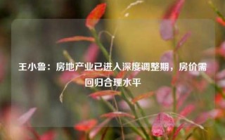 王小鲁：房地产业已进入深度调整期，房价需回归合理水平