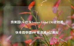 传美国LNG巨头Venture Global LNG计划最快本周申请IPO 筹资逾30亿美元