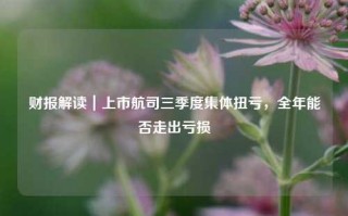 财报解读｜上市航司三季度集体扭亏，全年能否走出亏损