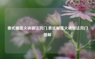 泰式榴莲火锅做法窍门,泰式榴莲火锅做法窍门图解