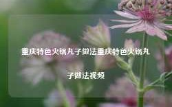 重庆特色火锅丸子做法重庆特色火锅丸子做法视频