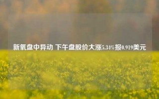 新氧盘中异动 下午盘股价大涨5.34%报0.919美元