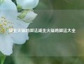 湖北火锅鸡做法湖北火锅鸡做法大全