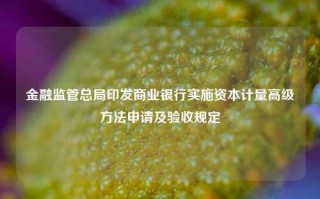 金融监管总局印发商业银行实施资本计量高级方法申请及验收规定