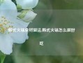 韩式火锅食材做法,韩式火锅怎么做好吃