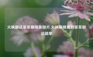 火锅做法家常麻辣鱼图片,火锅麻辣鱼的家常做法简单