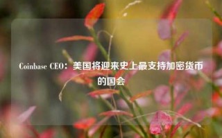 Coinbase CEO：美国将迎来史上最支持加密货币的国会