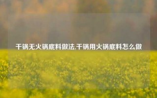 干锅无火锅底料做法,干锅用火锅底料怎么做